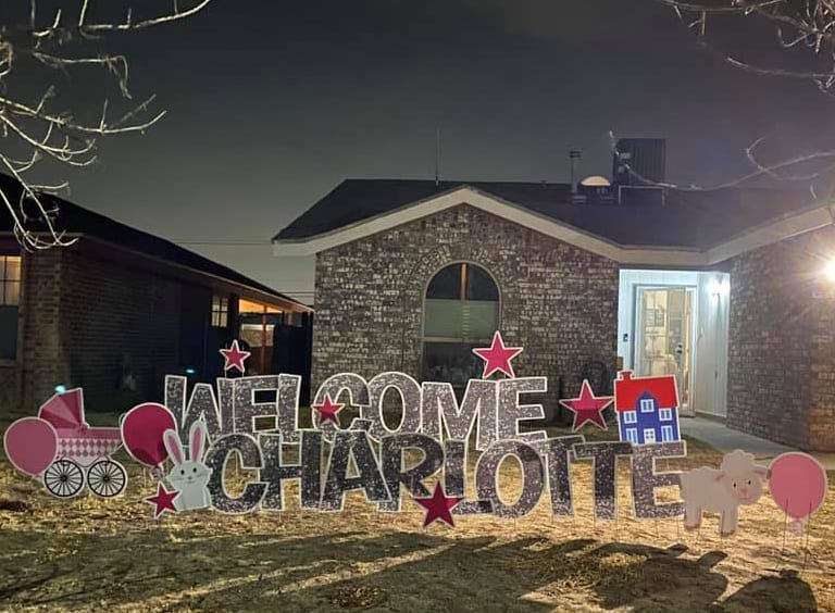 WELCOME-CHARLOTTE---SILVER-GLITTER---SHEEP-BUNNY-HOUSE-CRADLE-PINK-BALLOONS-STARS